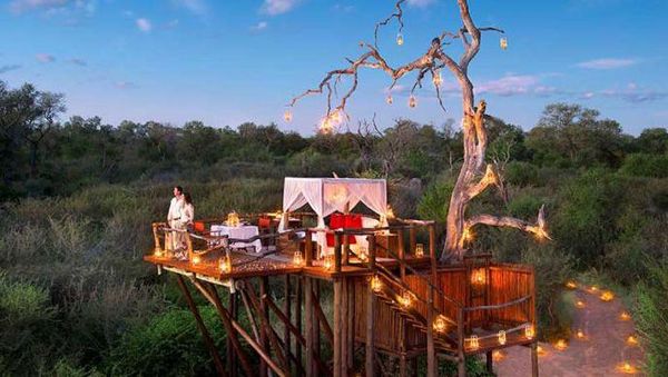 Foto: Menginap di Rumah Pohon Mewah Tanpa Atap