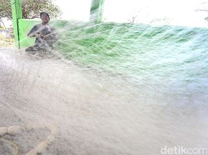 BMKG Keluarkan Peringatan Dini Gelombang Tinggi di Laut Jawa