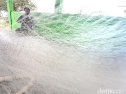 BMKG Keluarkan Peringatan Dini Gelombang Tinggi di Laut Jawa