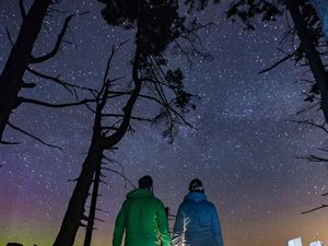 Bukti Kalau Bebas Polusi, Langit Malam Hari Bakal Secantik Ini