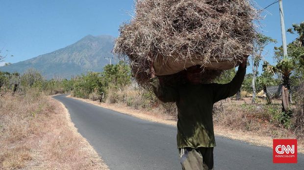 Aktivitas Meningkat, Gunung Agung Mulai Keluarkan Asap