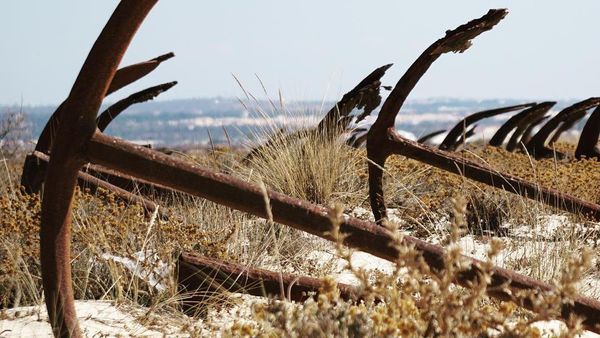Foto: Pantai yang Dipenuhi Jangkar Kuno
