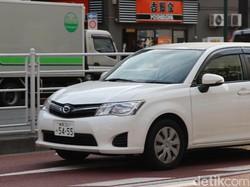 Negara-negara dengan Pelat Nomor Kendaraan Berwarna Cerah