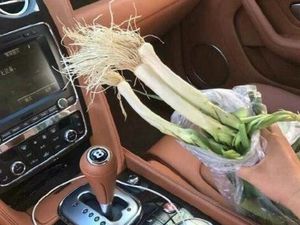 Tukang Sayur Tabrak Bentley dan Mie Rebus Hangat Racikan Netizen