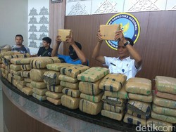 Selundupkan 140 Kg Ganja, Unyil Ditangkap di Aceh