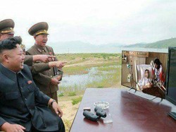 Petisi Online Terheboh 2017: Suu Kyi Hingga Meme Setya Novanto