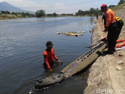 Buaya yang Sempat Bikin Kaget dan Ditembak Polisi