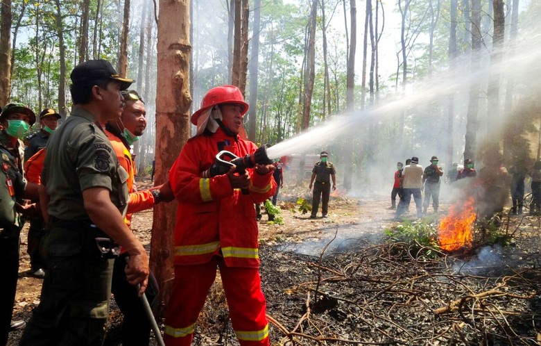 Warga di Kawasan Hutan di Bondowoso Berlatih Padamkan Kebakaran