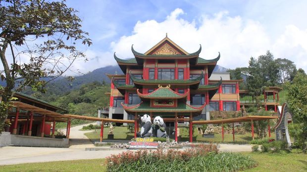 Syarat Khusus untuk Sepasang Panda Raksasa di Indonesia