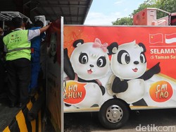 Yuk, Berkunjung ke Istana Panda Indonesia di Taman Safari