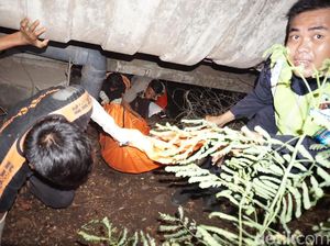 Mayat di Kolong Tol Cengkareng Ternyata Anak Punk