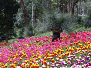 Kemenpar Goda Wisman Australia dengan Kuliner Khas Indonesia