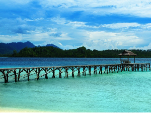 Ribuan Burung Migran Hiasi Festival Pesona Danau Limboto