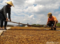 RUU Tembakau Berpotensi Tumpang Tindih dengan Aturan Lain