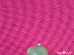 Mau LuLus Tes CPNS, Banyak Peserta Ujian Bawa Jimat