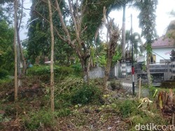 Ini Lokasi yang Dipercaya sebagai Rumah Bigfoot di Magelang