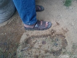 Jejak Bigfoot di Dunia: dari Mitos Hingga Berbau Mistis