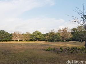 4 Pemburu Rusa di Ujung Kulon Tersangka, Kombes B Ditangani Mabes