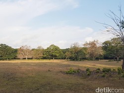 4 Pemburu Rusa di Ujung Kulon Tersangka, Kombes B Ditangani Mabes