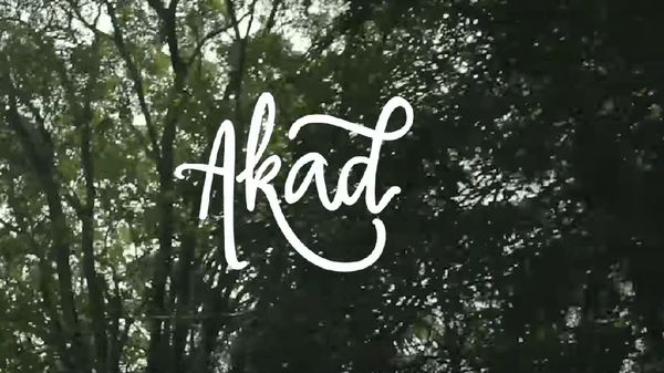 Despacito dan Akad, Lagu Paling Banyak Dicari 2017