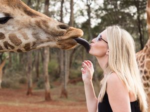 Wah, Jerapah di London Ikut Rayakan Valentine!
