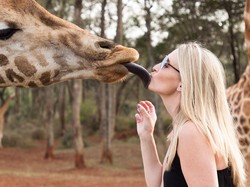 Wah, Jerapah di London Ikut Rayakan Valentine!