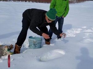 Penampakan Jejak Misterius Bigfoot yang Bikin Heboh Dunia