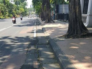 Risma Minta Aspal Rusak Akibat Akar Pohon Diperbaiki Risma Minta Aspal Rusak Akibat Akar Pohon Diperbaiki