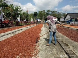 4 Komoditas Agro Diusulkan Jadi Jagoan Industri