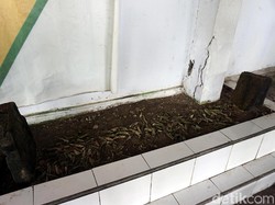 Makam dengan Batu Nisan yang Tumbuh Sendiri di Pulau Bacan