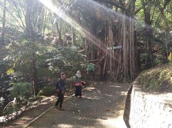 Akhir Pekan di Jepara, Wajib Mampir ke Desa Wisata Plajan