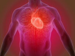 4 Kebiasaan Sepele yang Ternyata Bisa Cegah Penyakit Jantung