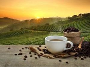 Pencinta Kopi? Yuk, Datang ke Malang Coffee Festival 2017