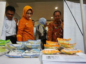 RI Bakal Punya National Techno Park, Dibangun 2019