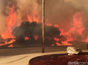 Penampakan Dahsyatnya Kobaran Api yang Melahap Hutan di California