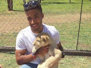 Ngeri! Atlet Ini Tiba-tiba Digigit Saat Sedang Mengelus Singa