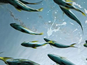 Jepretan Ciamik Kamera Google Pixel