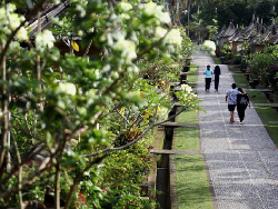 Dorong Pendapatan Daerah, Tegal Kembangkan Desa Wisata