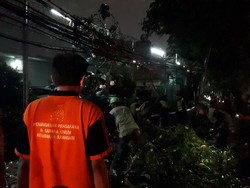 Petugas Masih Tangani Pohon Tumbang di depan Rutan Salemba