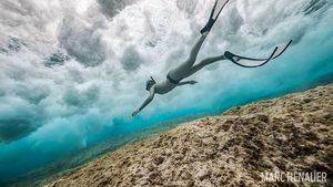 Deretan Foto Mengagumkan Jawara Underwater