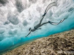 Deretan Foto Mengagumkan Jawara Underwater Deretan Foto Mengagumkan Jawara Underwater