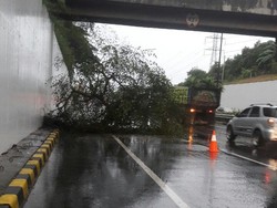 Hujan Deras, Pohon Tumbang di Tol JORR arah Cikunir