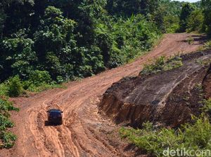 Butuh Rp 1,1 T Untuk Tembus Hutan Bangun Jalan di Perbatasan Kaltara