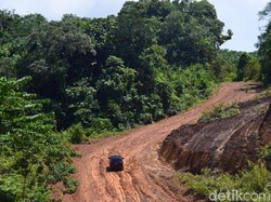 Jokowi Kebut Pembangunan Jalan Perbatasan RI-Malaysia di Kaltara