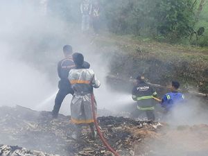 10 Ribu Ayam Milik Peternak di Garut Mati Terpanggang