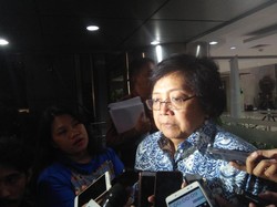 Menteri Siti: Bangkai Orangutan Tanpa Kepala Diautopsi Hari Ini