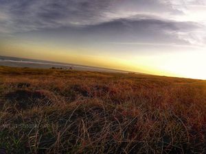 Sumba Rasa Afrika, Bikin Jatuh Cinta