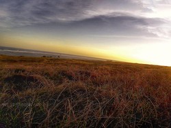 Rindu Savana & Pantai Cantik Sumba