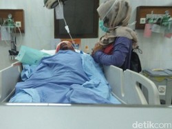 Usai Operasi, Korban Serangan Beruang di Riau Mulai Membaik