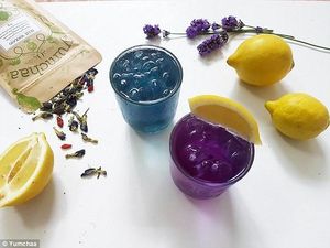 Ajaib! Teh Ini Bisa Berubah Warna dari Biru Jadi Ungu!